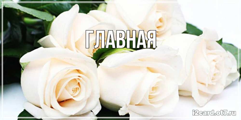 Открытка на каждый день с именем, Анна Главная открытка с красивыми белыми розами для родных Прикольная открытка с пожеланием онлайн скачать бесплатно 