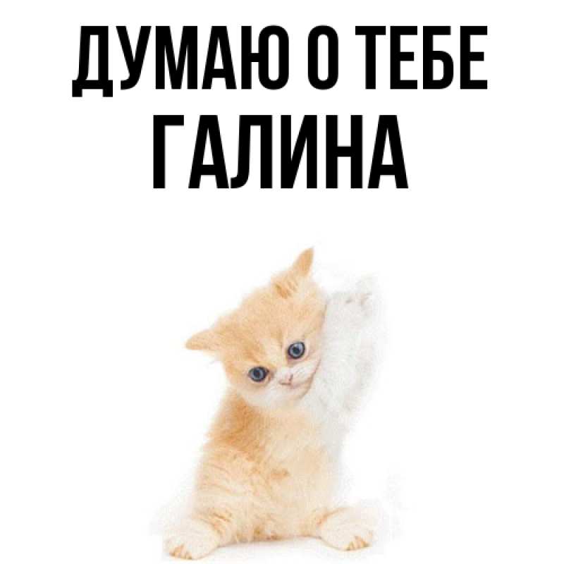 Картинка Думаю о тебе, галина