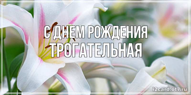 Картинка С днем рождения, Тpогательная