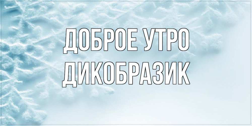 Открытка на каждый день с именем, дикобразик Доброе утро классное зимнее утро Прикольная открытка с пожеланием онлайн скачать бесплатно 