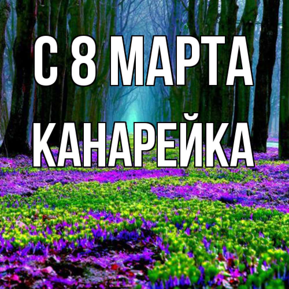 Открытка на каждый день с именем, Канарейка C 8 МАРТА фиолетовые цветы в лесу 1 Прикольная открытка с пожеланием онлайн скачать бесплатно 