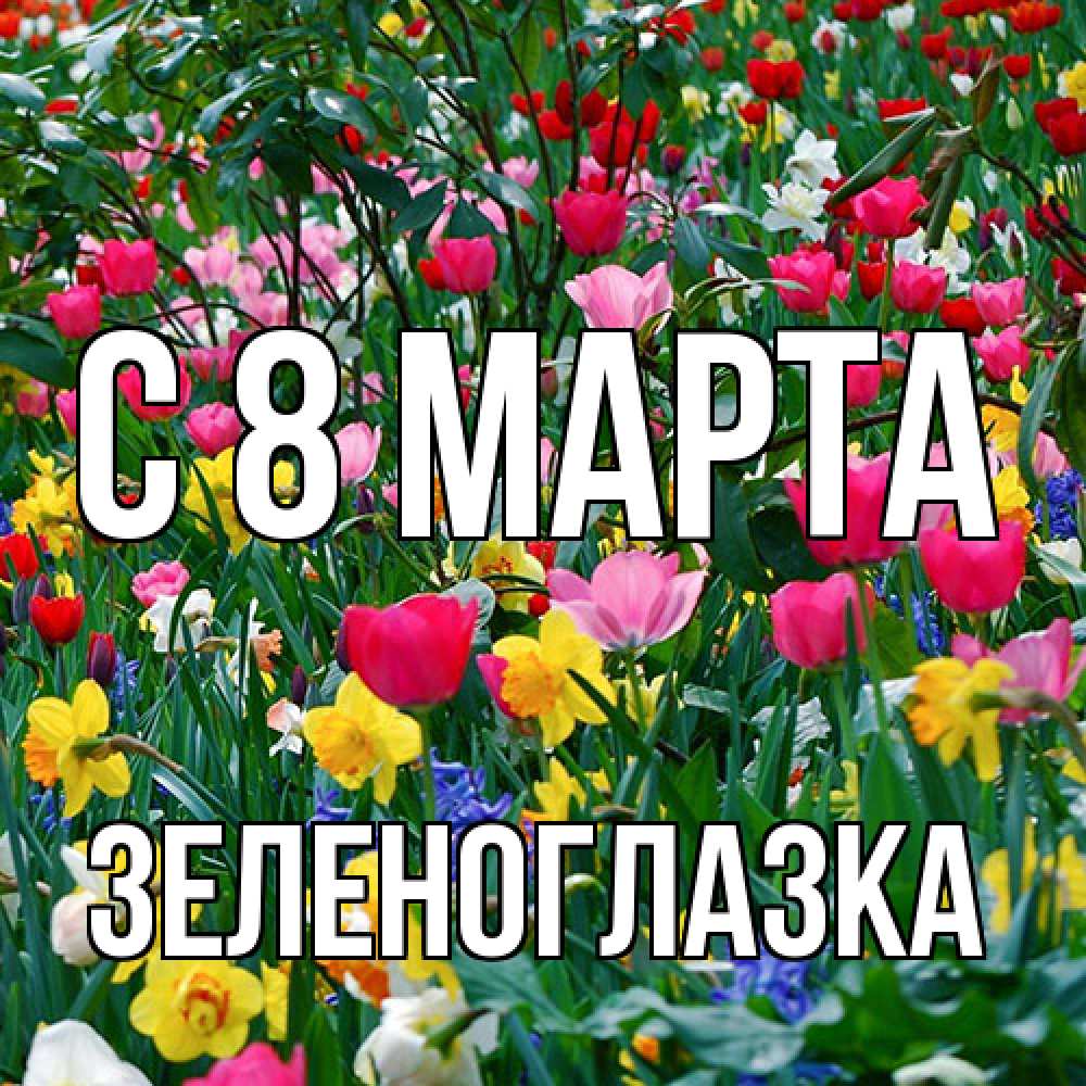 Открытка на каждый день с именем, зеленоглазка C 8 МАРТА с международным женским днем поздравления для женщины Прикольная открытка с пожеланием онлайн скачать бесплатно 
