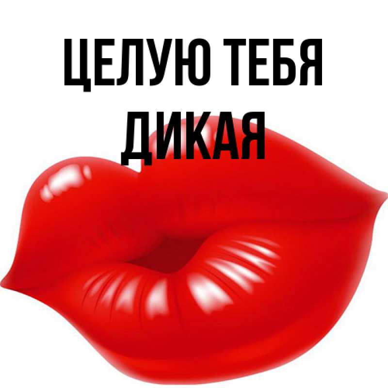 Картинка Целую тебя, дикая