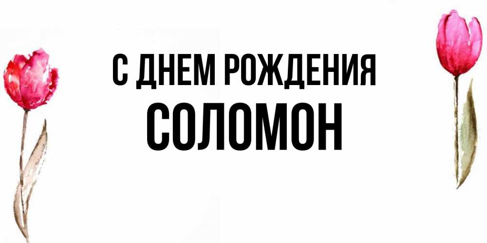 Открытка на каждый день с именем, Соломон С днем рождения открытки акварелью с цветами Прикольная открытка с пожеланием онлайн скачать бесплатно 