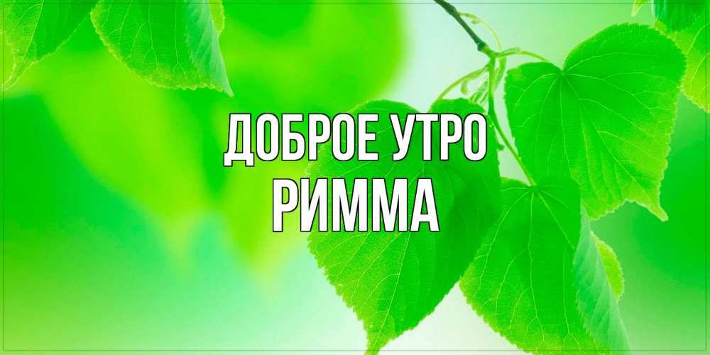 Открытка на каждый день с именем, Римма Доброе утро доброе утро с березовыми листьями Прикольная открытка с пожеланием онлайн скачать бесплатно 