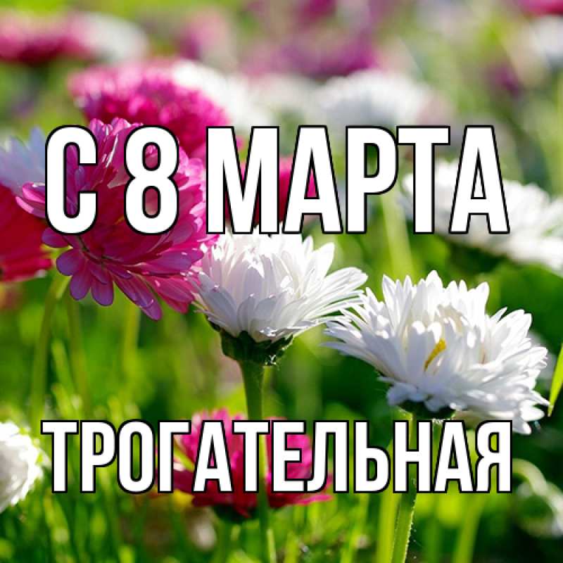 Картинка C 8 МАРТА, Тpогательная