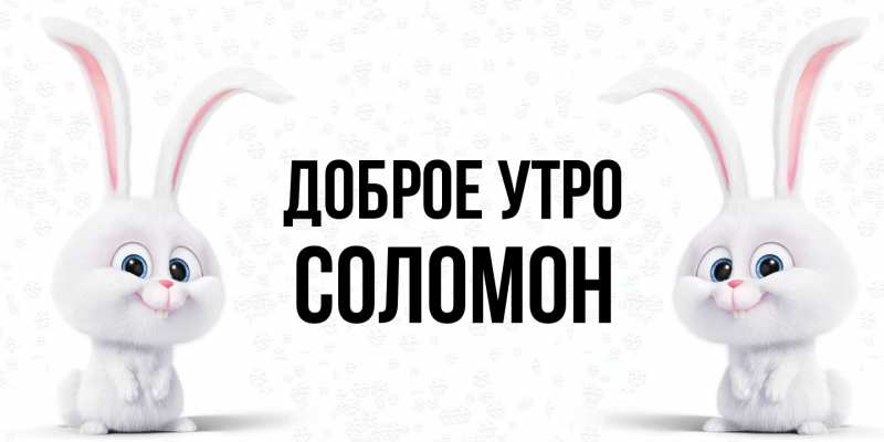 Картинка Доброе утро, Соломон