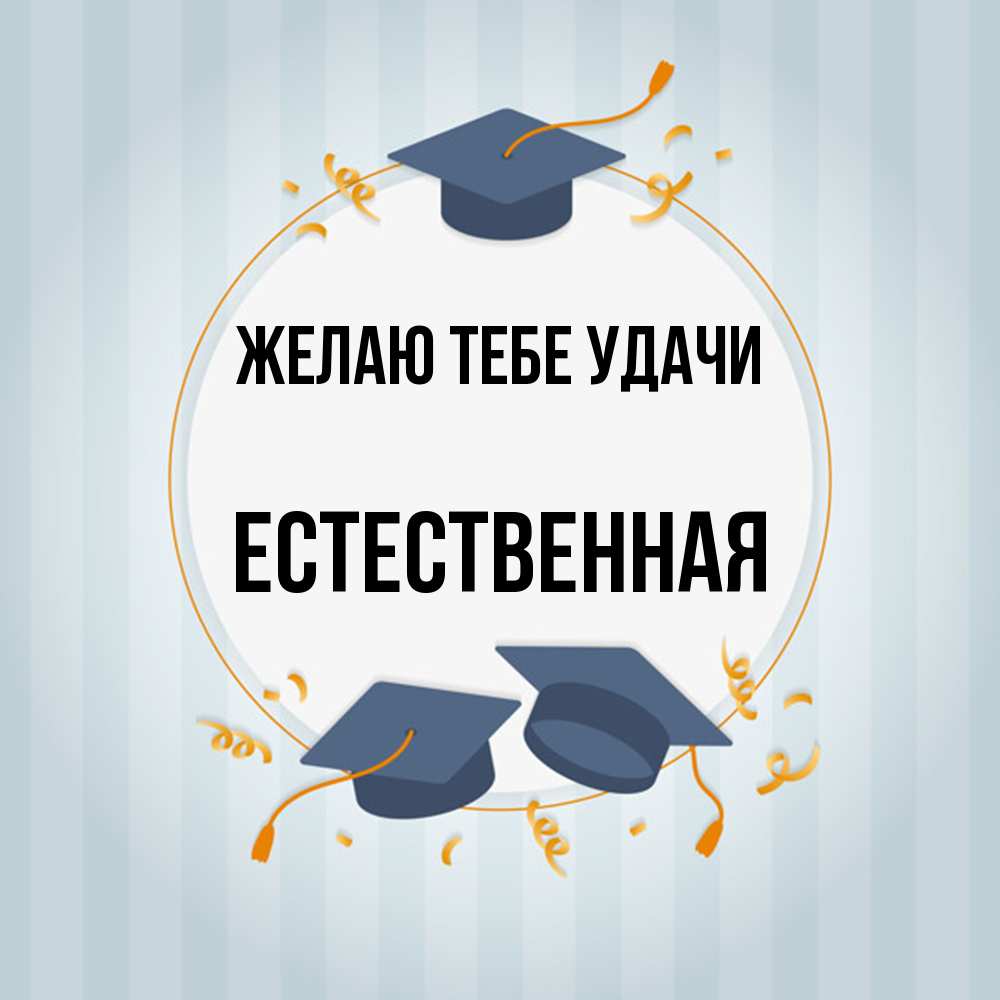 Открытка на каждый день с именем, Естественная Желаю тебе удачи для студентов Прикольная открытка с пожеланием онлайн скачать бесплатно 