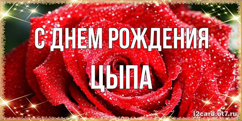Картинка С днем рождения, Цыпа
