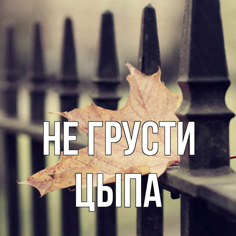 Картинка Не грусти, Цыпа