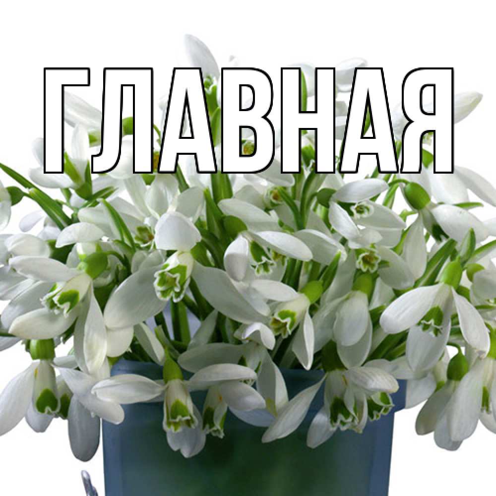 Открытка на каждый день с именем, Анна Главная цветы к международному женскому дню Прикольная открытка с пожеланием онлайн скачать бесплатно 