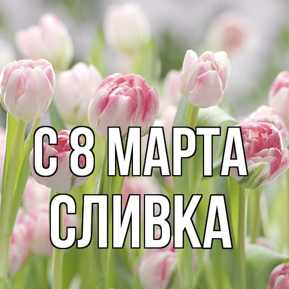 Открытка на каждый день с именем, Сливка C 8 МАРТА цветы Прикольная открытка с пожеланием онлайн скачать бесплатно 
