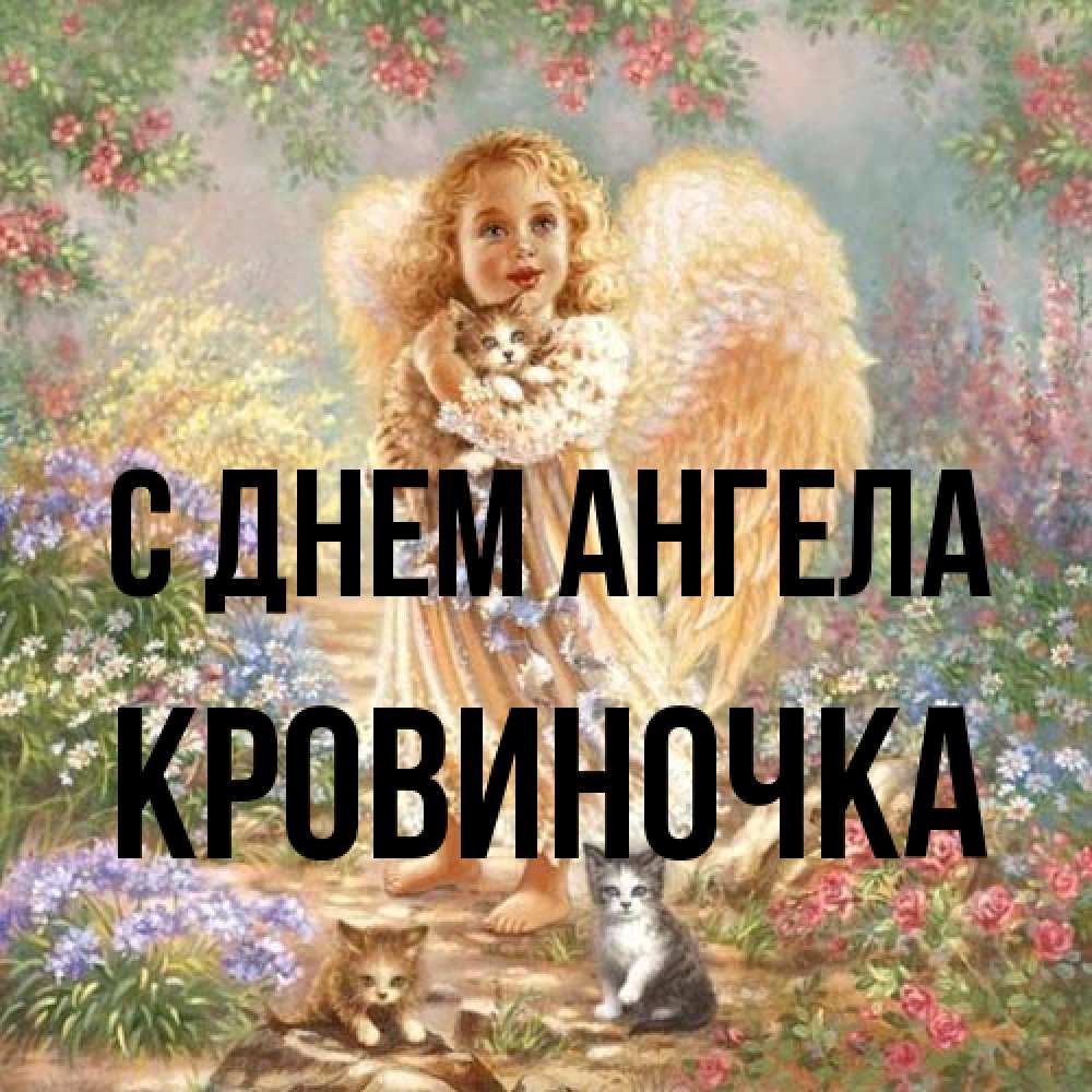 Открытка на каждый день с именем, кровиночка С днем ангела держит котенка Прикольная открытка с пожеланием онлайн скачать бесплатно 