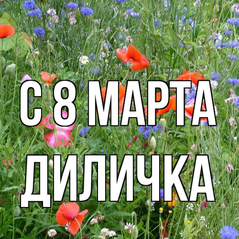 Картинка C 8 МАРТА, Диличка