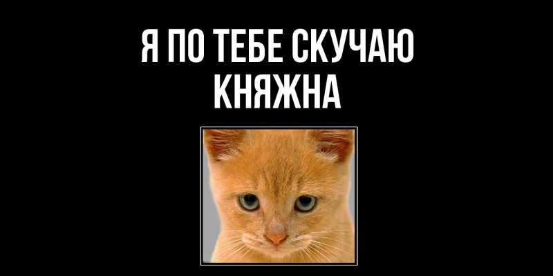 Картинка Я по тебе скучаю, Княжна