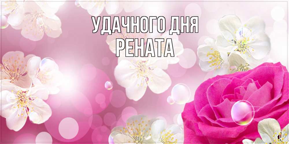 Открытка на каждый день с именем, Рената Удачного дня красивые цветы Прикольная открытка с пожеланием онлайн скачать бесплатно 
