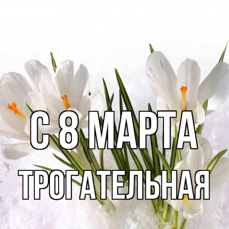 Картинка C 8 МАРТА, Тpогательная