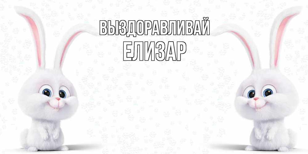 Открытка на каждый день с именем, Елизар Выздоравливай не болей с зайцем Прикольная открытка с пожеланием онлайн скачать бесплатно 