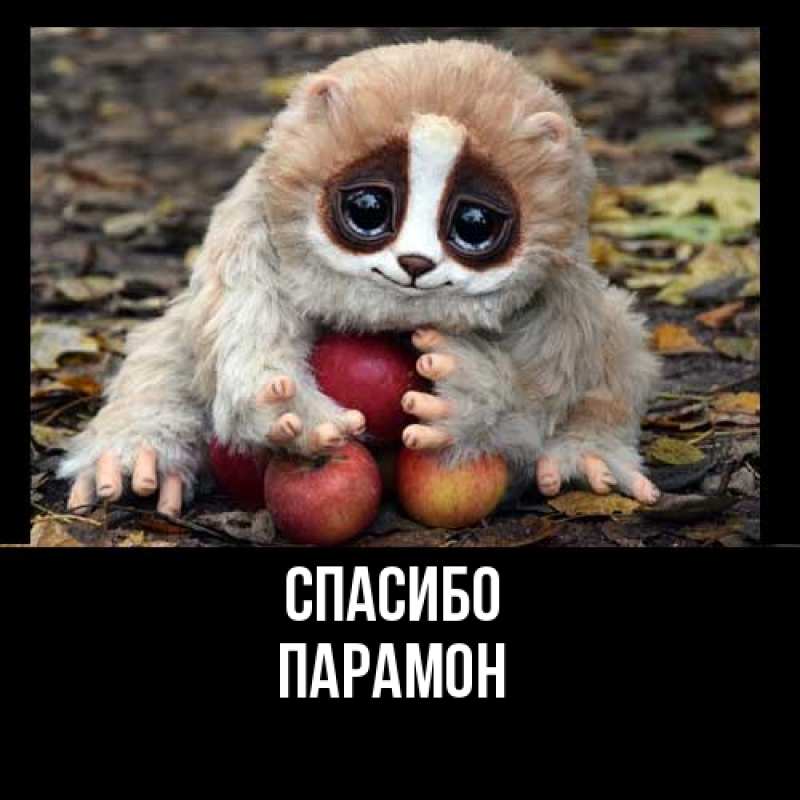 Картинка Спасибо, Парамон