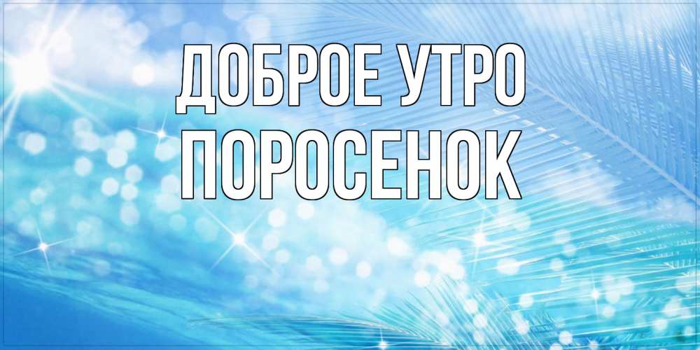 Открытка на каждый день с именем, Поросенок Доброе утро красивое утро на фоне воды Прикольная открытка с пожеланием онлайн скачать бесплатно 