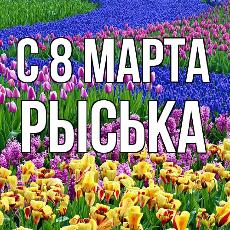 Картинка C 8 МАРТА, Рыська