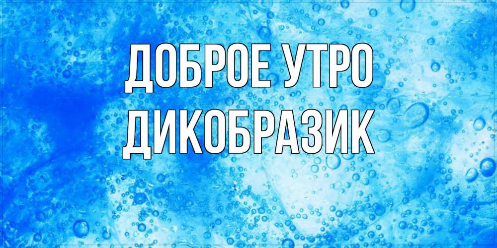 Открытка на каждый день с именем, дикобразик Доброе утро хорошее утро под водой Прикольная открытка с пожеланием онлайн скачать бесплатно 