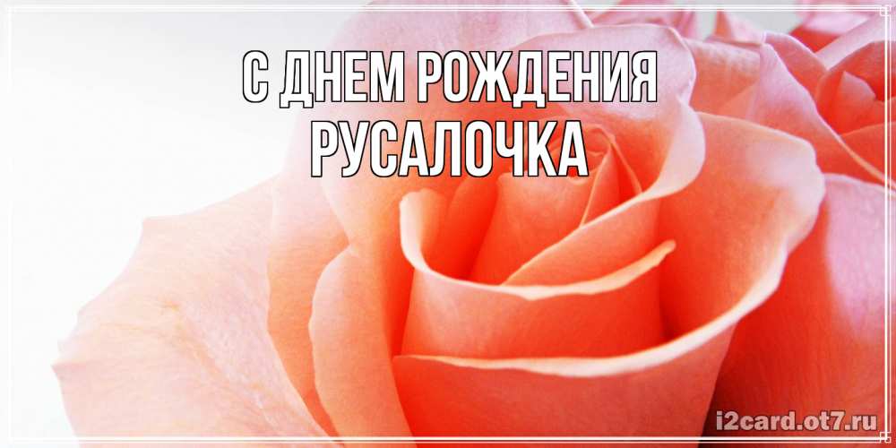 Открытка на каждый день с именем, Русалочка С днем рождения розы для поздравления с днем рождения Прикольная открытка с пожеланием онлайн скачать бесплатно 