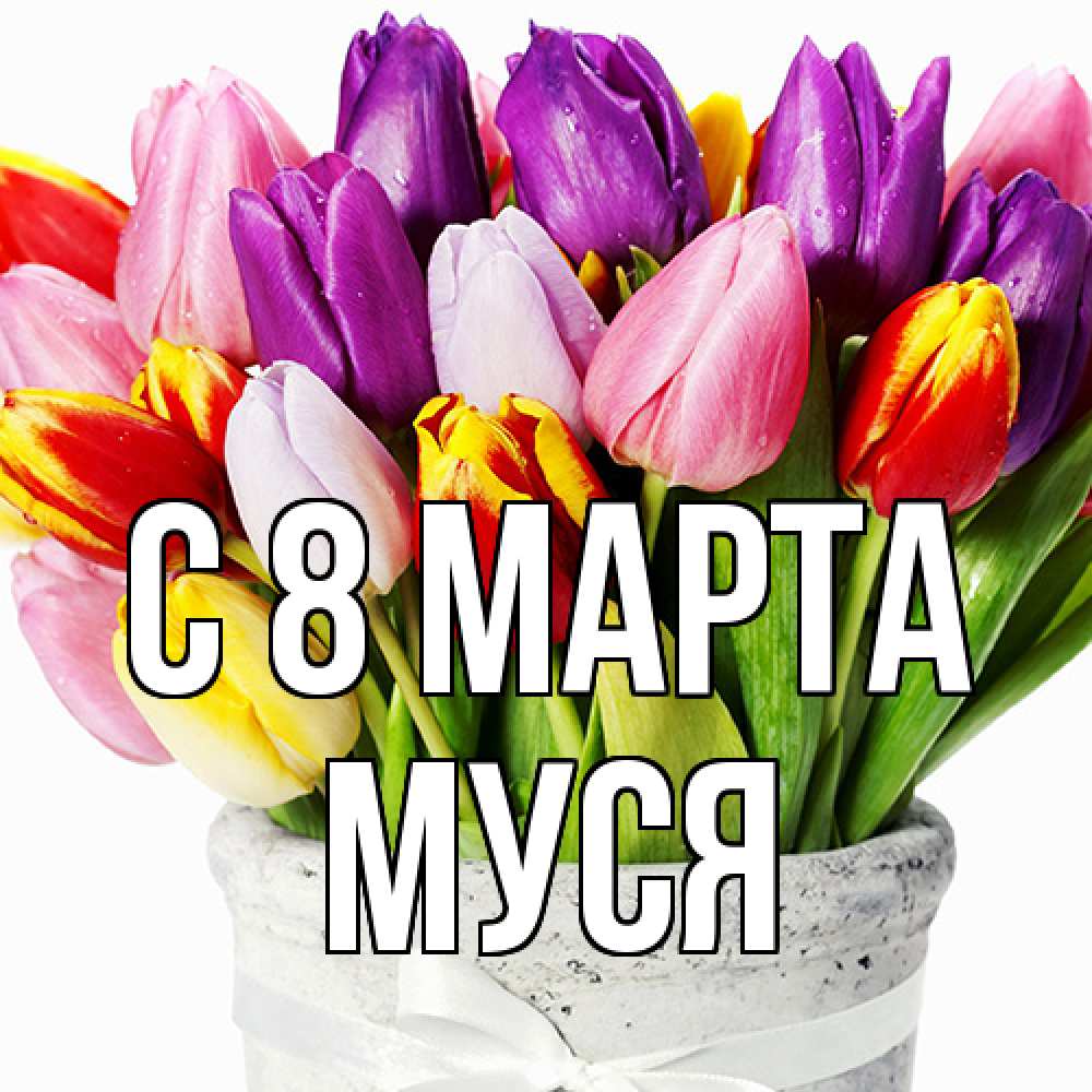 Открытка на каждый день с именем, Муся C 8 МАРТА букет Прикольная открытка с пожеланием онлайн скачать бесплатно 