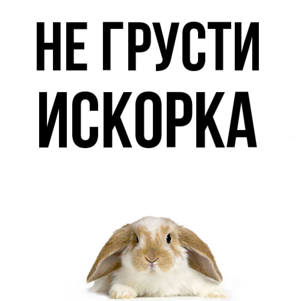 Открытка на каждый день с именем, искорка Не грусти коричнево белый заяц с большими ушками Прикольная открытка с пожеланием онлайн скачать бесплатно 