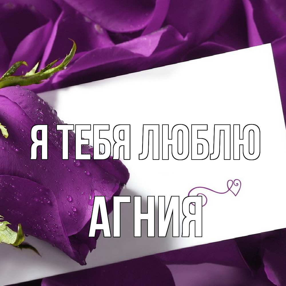 Открытка на каждый день с именем, Агния Я тебя люблю роза Прикольная открытка с пожеланием онлайн скачать бесплатно 