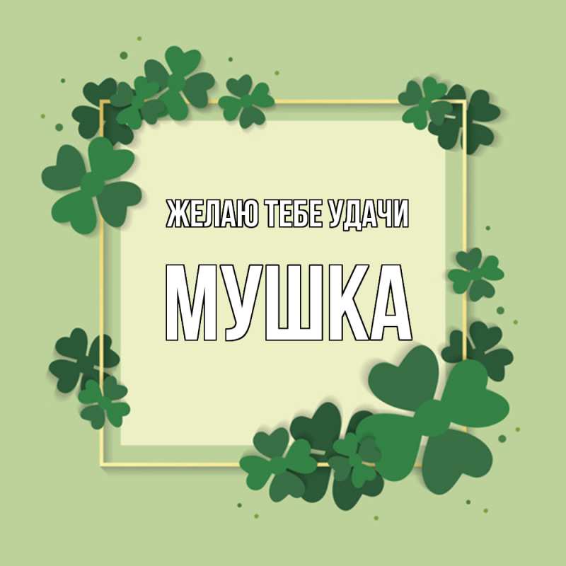 Картинка Желаю тебе удачи, мушка