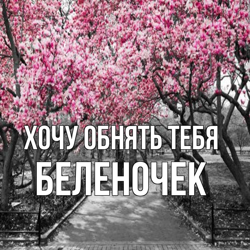 Открытка на каждый день с именем, Беленочек Хочу обнять тебя обработанное фото Прикольная открытка с пожеланием онлайн скачать бесплатно 