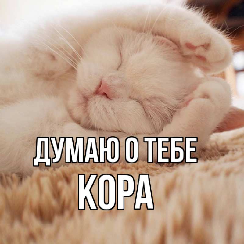 Картинка Думаю о тебе, Кора