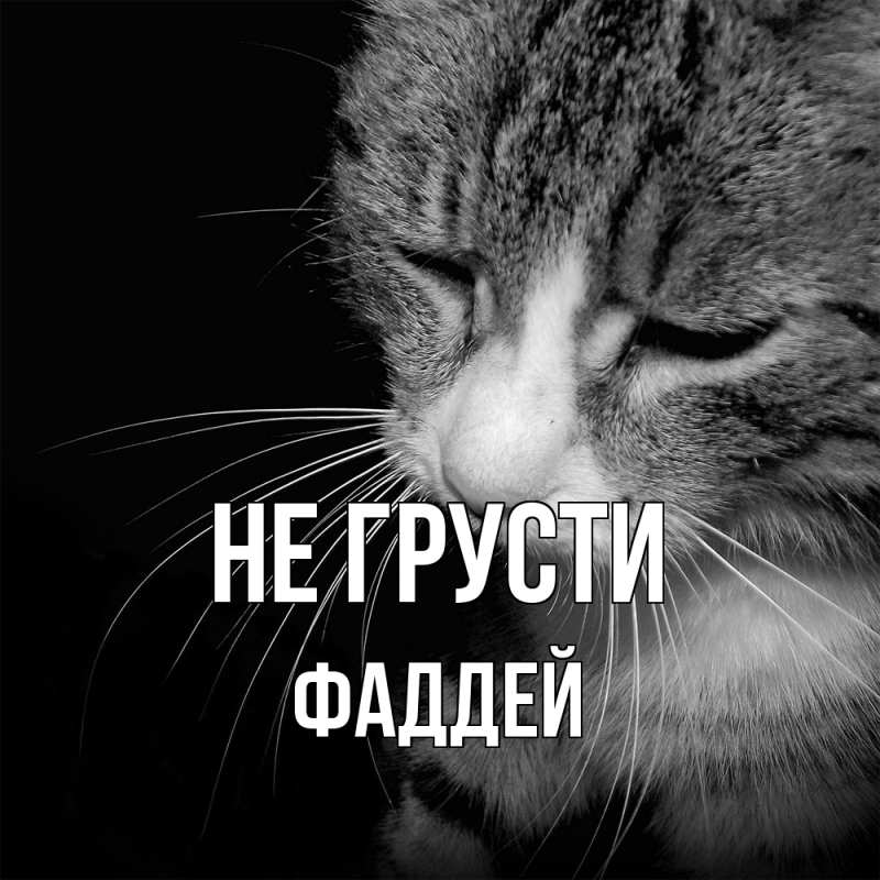 Картинка Не грусти, Фаддей
