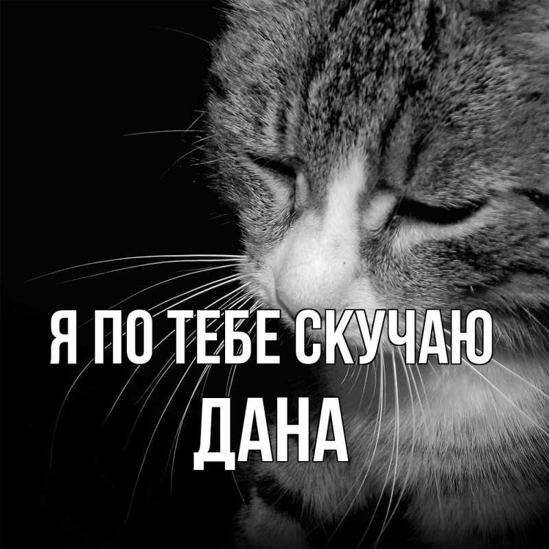 Картинка Я по тебе скучаю, Дана