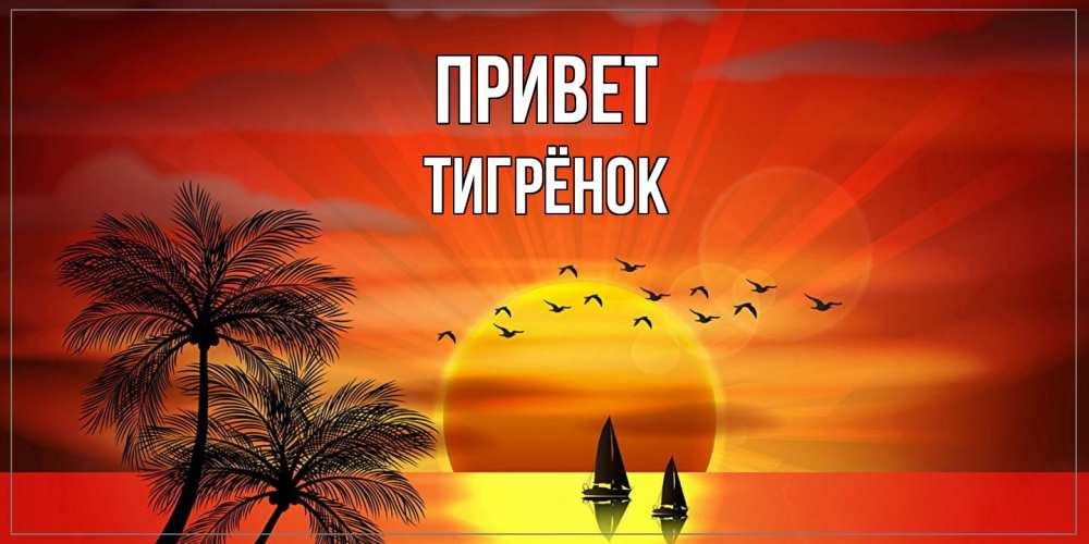 Открытка на каждый день с именем, Тигрёнок Привет привет Прикольная открытка с пожеланием онлайн скачать бесплатно 