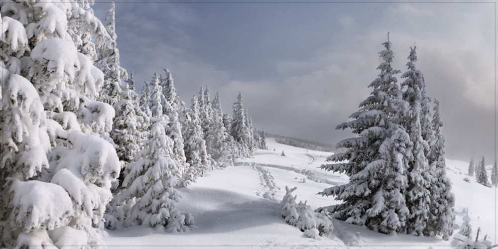 Открытка на каждый день с именем, Аурелия Доброе утро пасмурное утро Прикольная открытка с пожеланием онлайн скачать бесплатно 