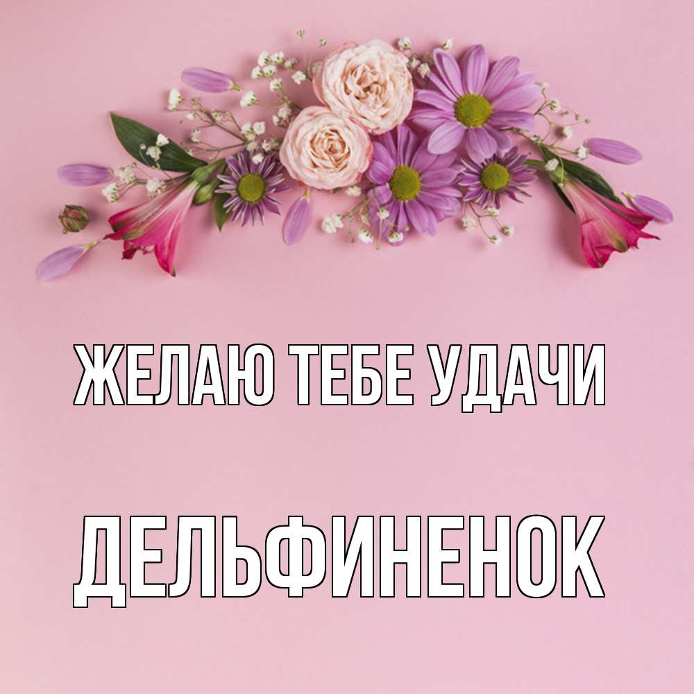 Открытка на каждый день с именем, дельфиненок Желаю тебе удачи розовый фон Прикольная открытка с пожеланием онлайн скачать бесплатно 