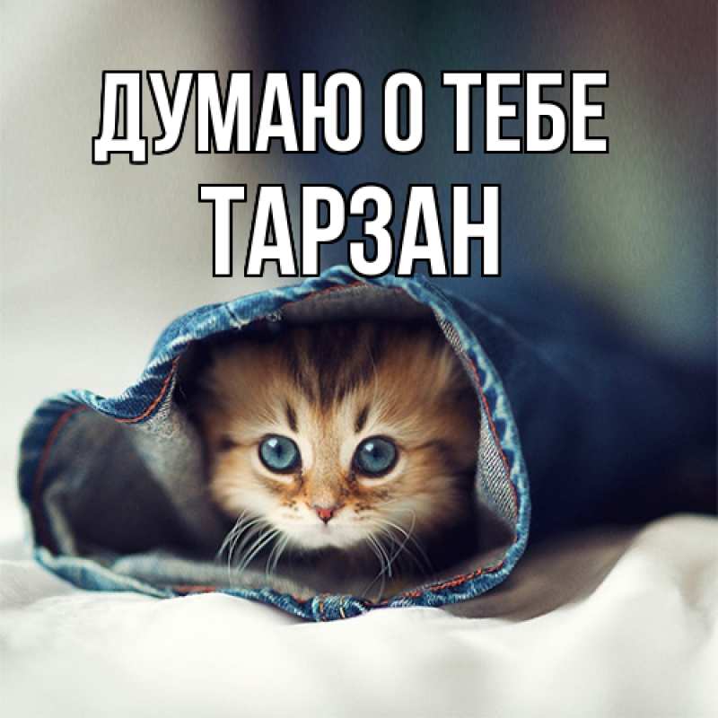 Картинка Думаю о тебе, Тарзан