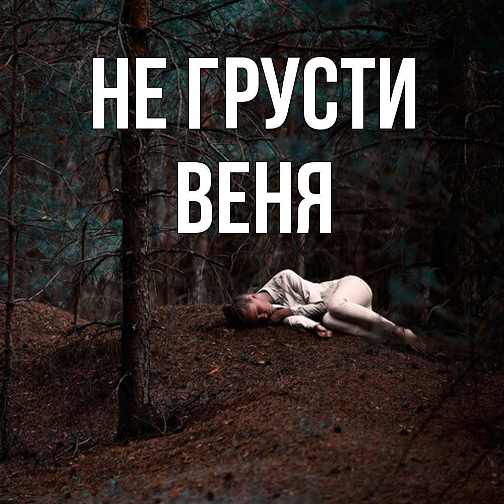 Открытка на каждый день с именем, Веня Не грусти лес Прикольная открытка с пожеланием онлайн скачать бесплатно 