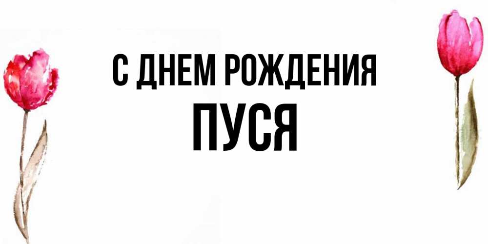 Открытка на каждый день с именем, Пуся С днем рождения открытки акварелью с цветами Прикольная открытка с пожеланием онлайн скачать бесплатно 