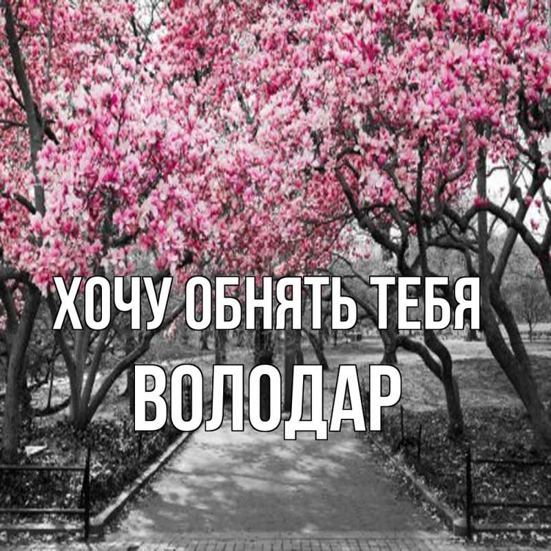 Картинка Хочу обнять тебя, Володар