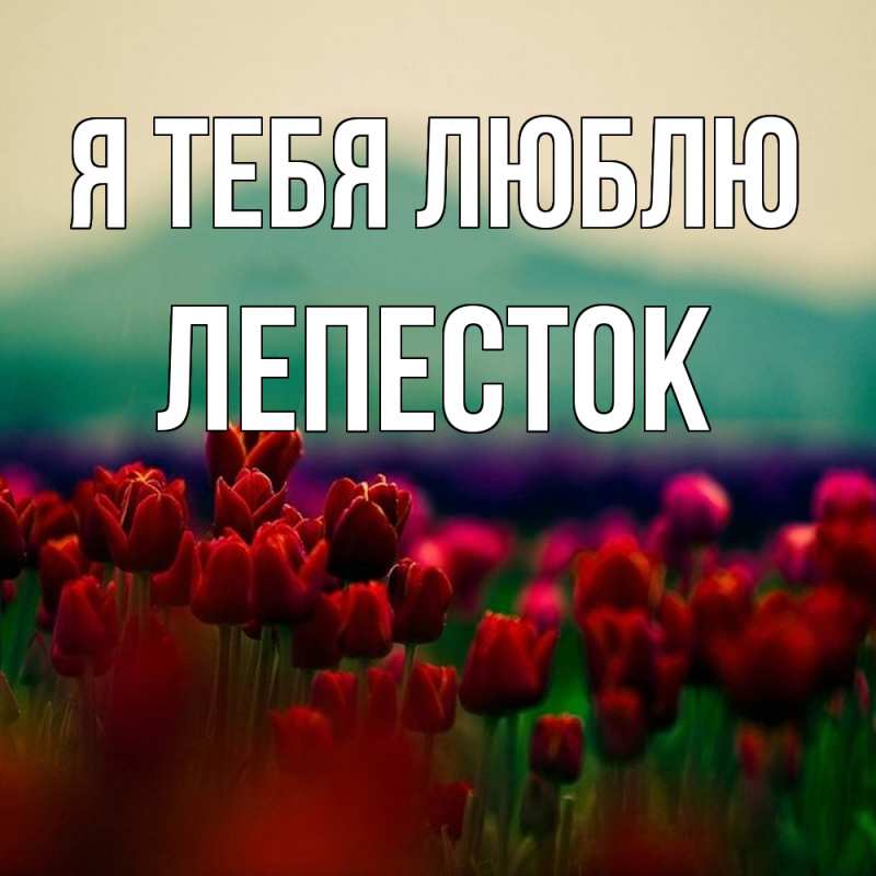 Картинка Я тебя люблю, Лепесток