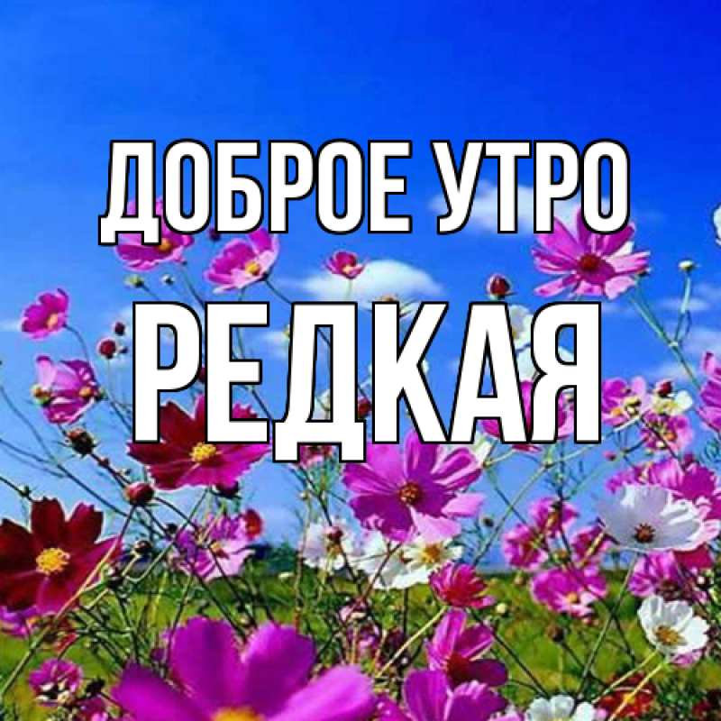 Картинка Доброе утро, Редкая