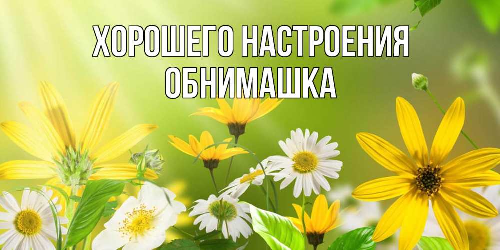 Открытка на каждый день с именем, обнимашка Хорошего настроения цветы Прикольная открытка с пожеланием онлайн скачать бесплатно 