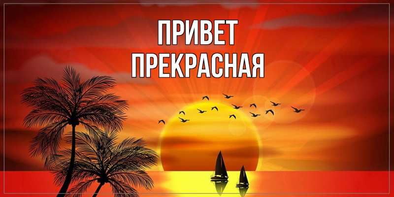 Картинка Привет, Пpекpасная