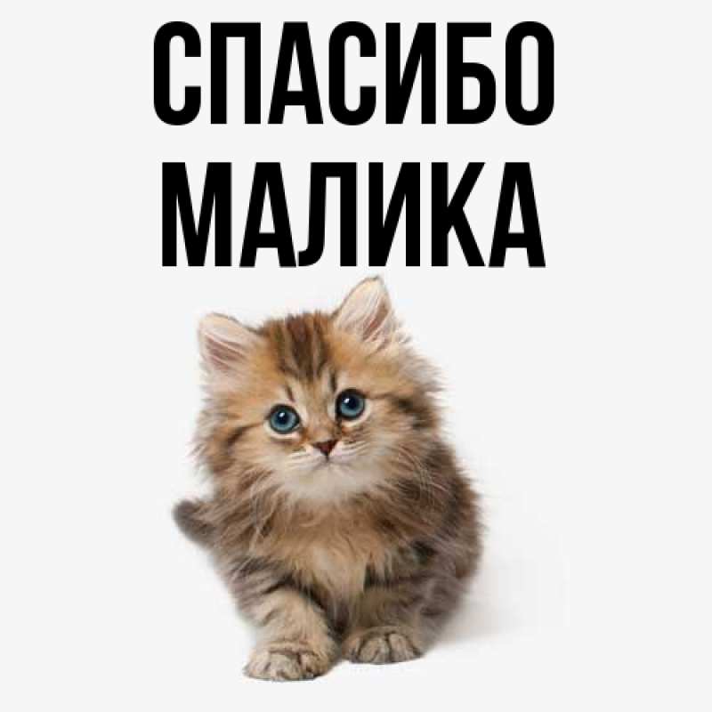 Картинка Спасибо, Малика