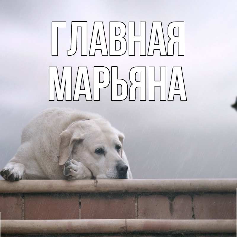 Картинка  с именем , Марьяна
