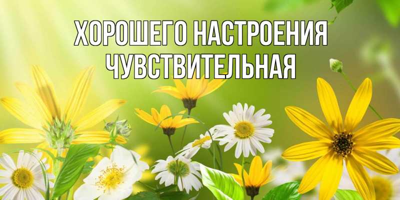 Картинка Хорошего настроения, Чувствительная