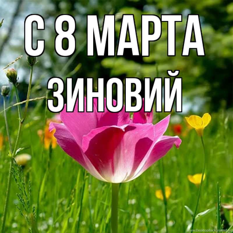 Картинка C 8 МАРТА, Зиновий